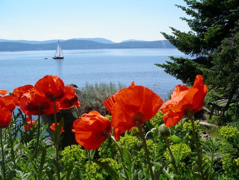Serenity By The Sea Retreats Montague Harbour Kültér fotó